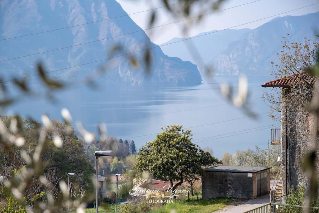 Il Giardino Di Laura Costa Volpino Exterior foto